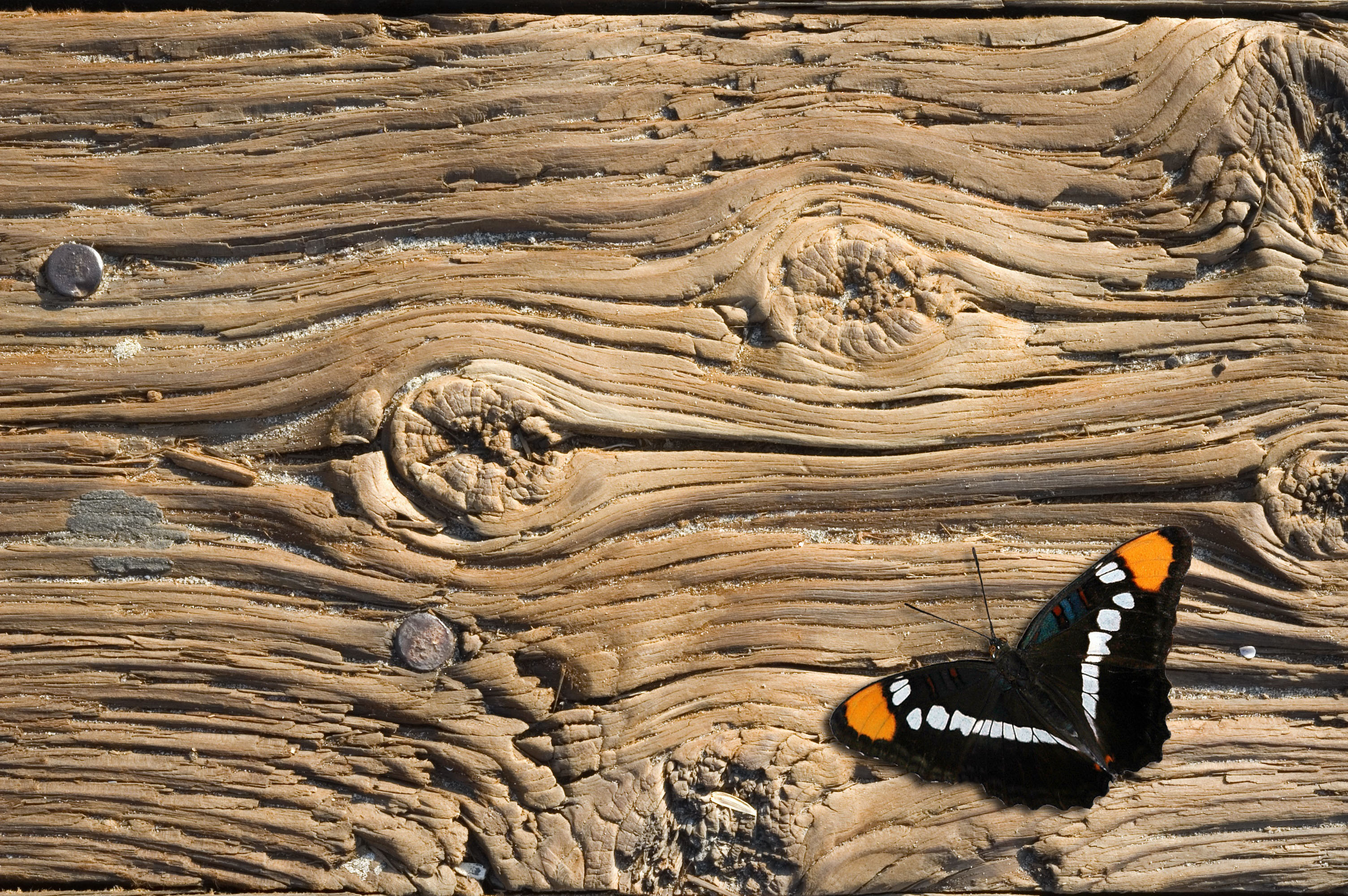 Rivestimenti soffitti in legno ~ canlic for .
